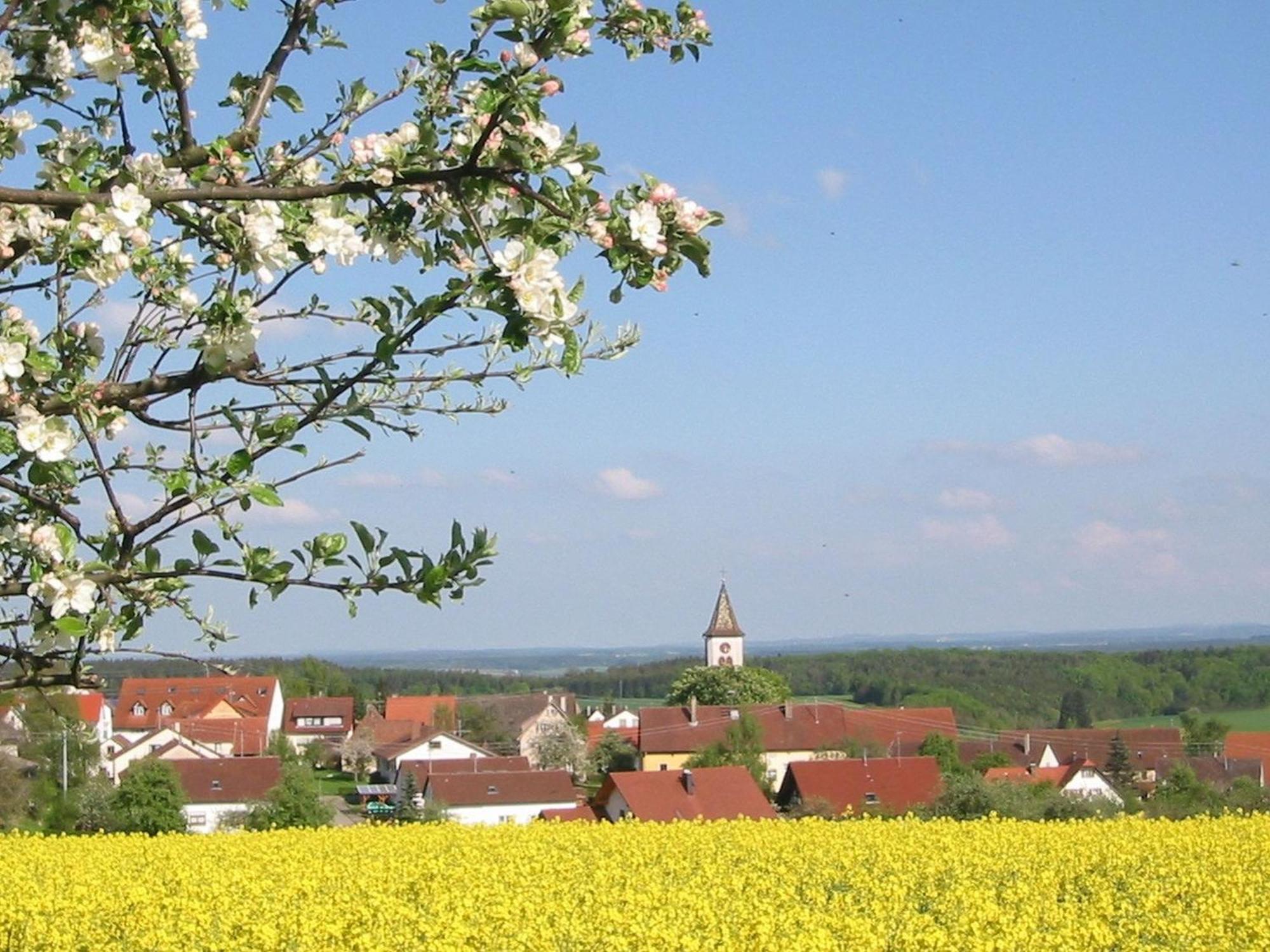 Villa Kleine Auszeit à Thalheim  Extérieur photo